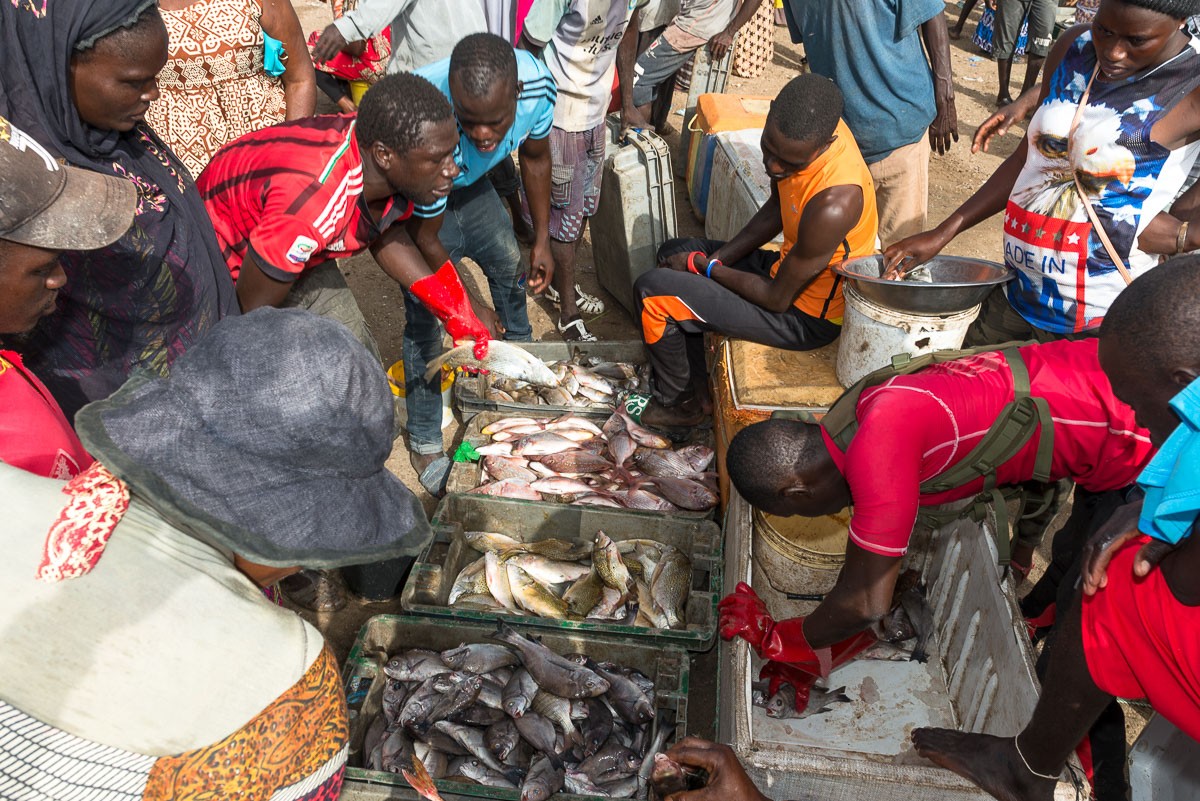 L’arrivée des pêcheurs à M’Bour