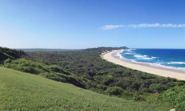 Le Mozambique