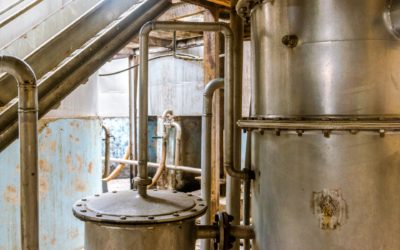 Le rhum, cannes à sucre et distilleries