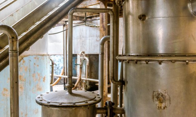 Le rhum, cannes à sucre et distilleries