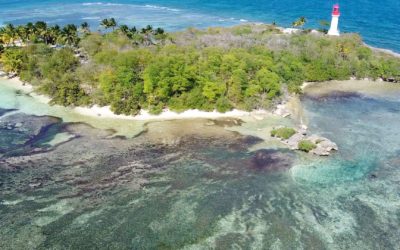 Un drone en Guadeloupe