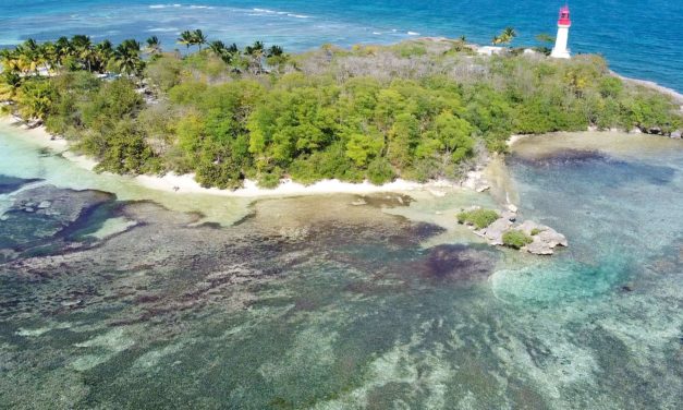 Un drone en Guadeloupe