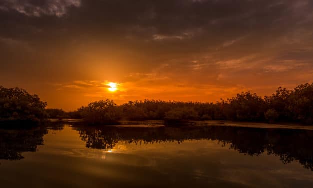 Le delta du Saloum
